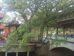 -草庵摩尼教遗址公园