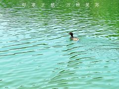 -尚贤河湿地