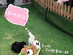 -大族广场Mall&More