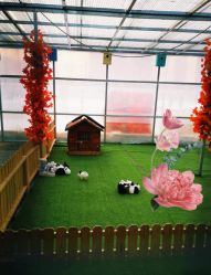 点击看大图 -萌宠亲子动物乐园(槐房万达店)