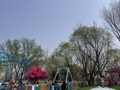 -太阳宫公园