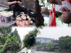 -运河游船(武林门码头)