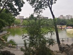 -莲湖公园