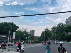 -神仙树公园
