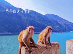 -白帝城·瞿塘峡景区