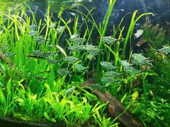 -上海海洋水族馆