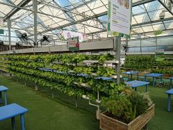 -阿菠萝小猪农场·萌宠乐园·亲子游·研学