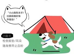 -瑞派天使宠物医院·神经外科·骨科·核磁(洛川中路店)