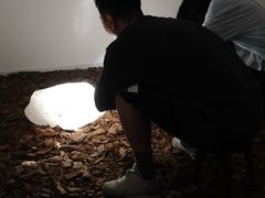 -艺仓美术馆