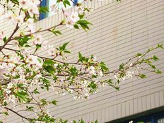 -东南大学(九龙湖校区)