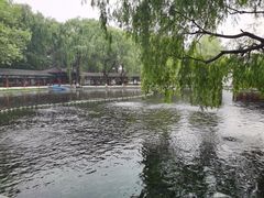 -百脉泉景区