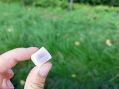 -隆美栗园(重庆路店)