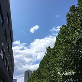 31-20摄氏度，吹着风温度还超级舒服