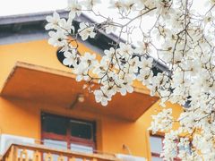 -杭州上天竺法喜讲寺