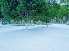 -西北湖绿化广场