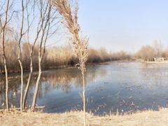 -西安浐灞国家湿地公园