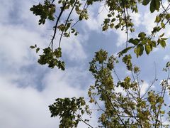 -大连金石滩绿发温泉假日酒店