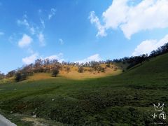 -关山草原