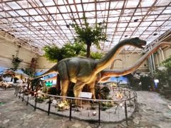 -国家自然博物馆