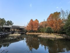 -长广溪湿地公园