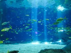 -福州罗源湾海洋世界旅游区