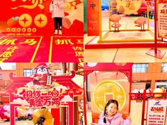 -海合安武汉极地海洋公园