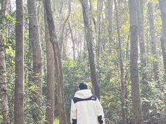 -北高峰