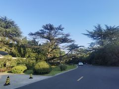 -西郊宾馆·1921餐厅