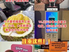 -圣淘沙天际线斜坡滑车