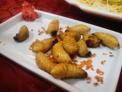 -了能菜·传统特色粤菜·虫宴
