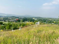 -密云玫瑰情园