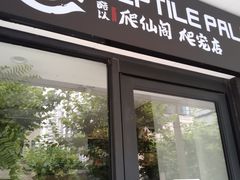 -酷以爬仙阁实体爬宠店·守宫·蜥蜴·专业繁育