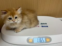 -瑞派康怡24h宠物医院·犬猫医疗中心·微创绝育(瑞景分院)