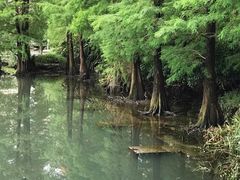 -东部华侨城