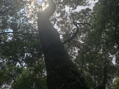 -晓港公园