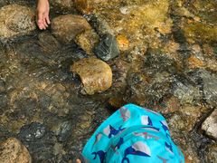 -碓臼峪自然风景区