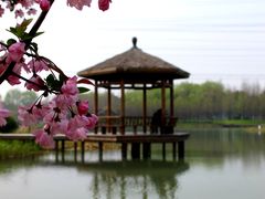 -昆山城市生态森林公园