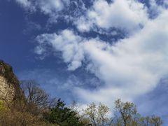 -王顺山国家森林公园