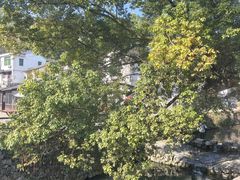 -炉鱼(萧山万象汇店)