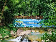 -广州白江湖森林公园