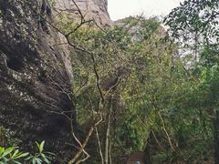 -冠豸山景区