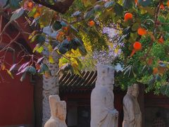 -北京石刻艺术博物馆(五塔寺)