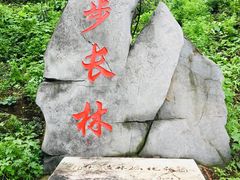 -北京十三陵国家森林公园蟒山景区