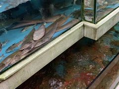 水产区-棠记海鲜餐厅(南朗镇店)
