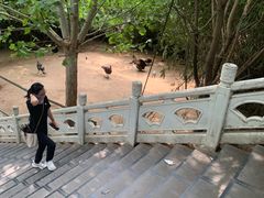 -五龙山野生动物王国