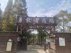 -滨江森林公园-真人CS野战场