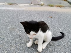 -金石唐风国际温泉会馆