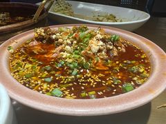 -向川南·水煮鱼·川菜(和平里店)
