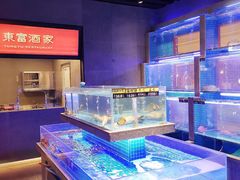 -东富酒家(龙湖西溪天街店)