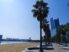 -金沙湖公园